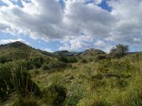 Impression aus der Serra d'Artá